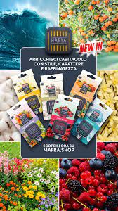 Odorizant Auto Ma-fra Harya